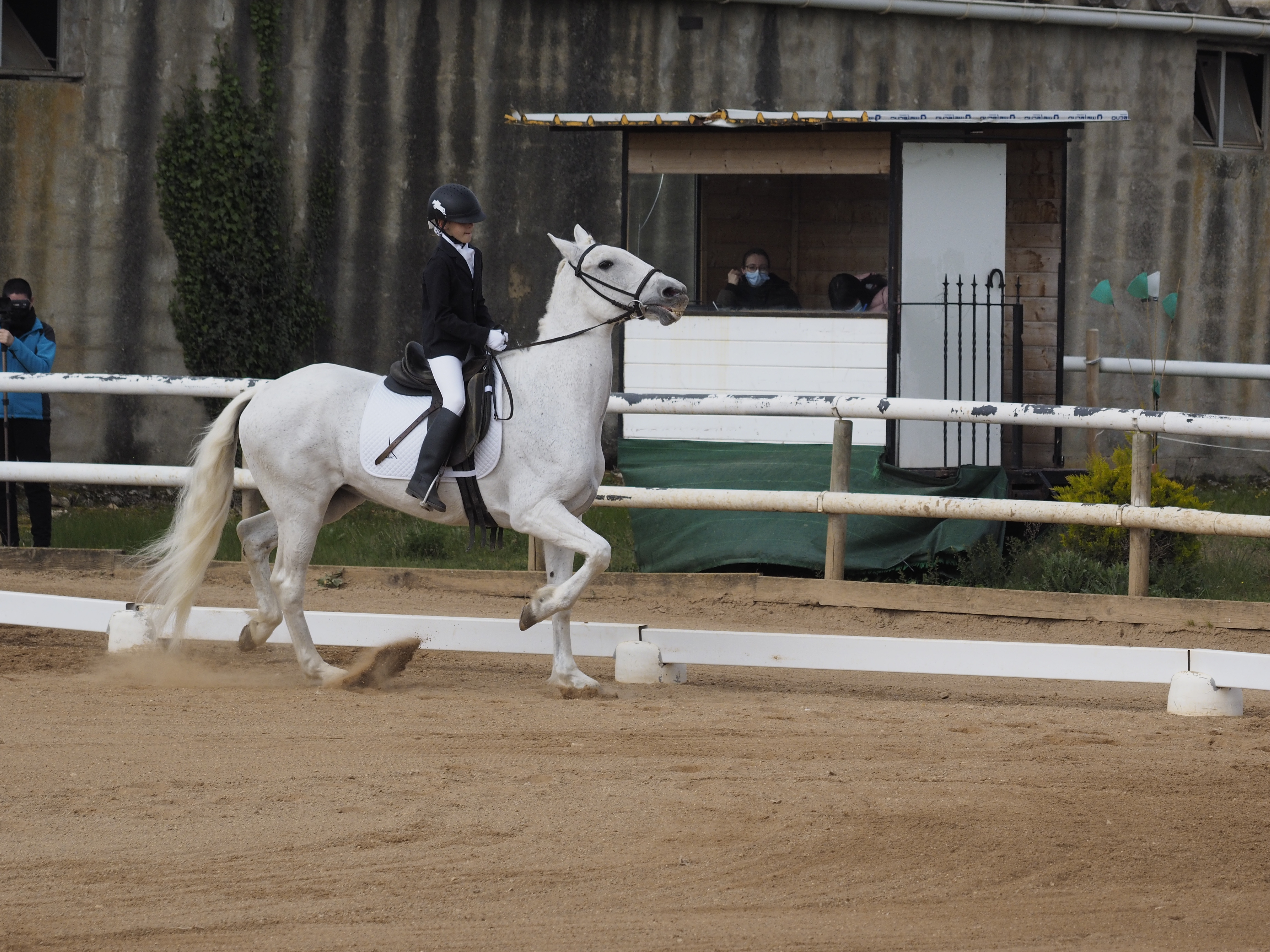Más fotos de la Primera Fase de Doma Clásica en Acedo